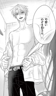 Mou Suki desho, Ore no Koto