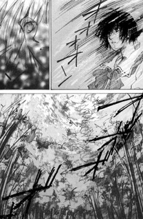 Mugen Hakkō Denchuurin