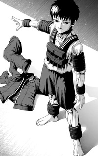 Muteki no Subaru