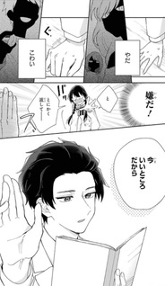 Naisho no Cinderella