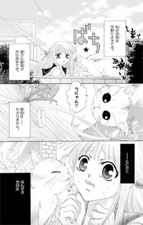 Nakase chaoo ka
