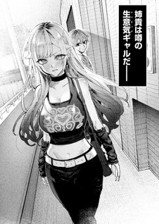 Namaiki na Gal Ane wo Wakaraseru Hanashi