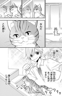 Neko, hajimemashita: Nyantomo Ki ni naru Nyao