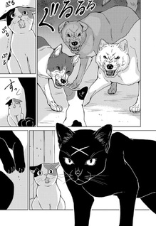 Nekomata Kurobee