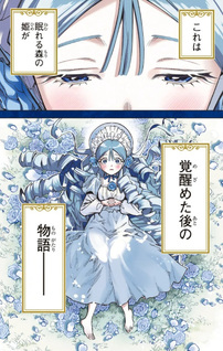 Nemureru Mori no Rega