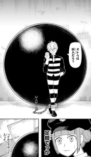 Nice Prison