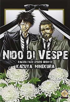 Nido di vespe