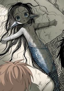 Ningyo Kansatsu Nikki