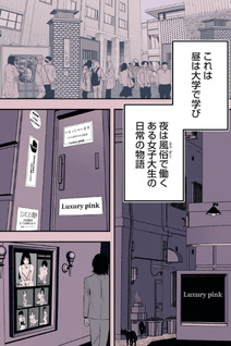 Nokaze no Pink na Torisetsu