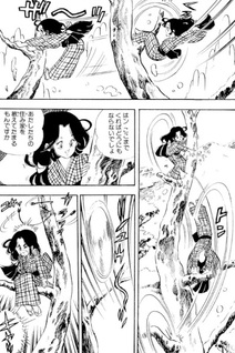 Ochikobore Ninpouchō