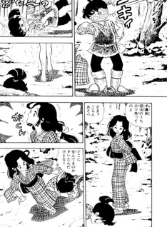 Ochikobore Ninpouchō