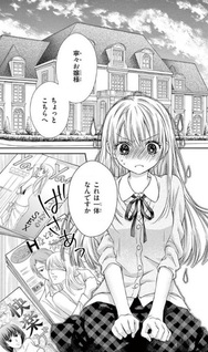 Ojōsama, Otona no Kiss no Ojikan desu