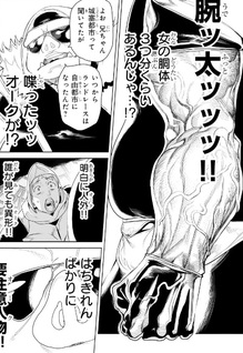 Orc no Shuhai ni Shukufuku wo