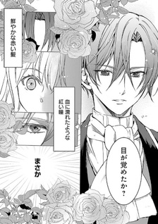 Oshi no Imōto ni Tensei shite Shimatta no de, Saikyō no Akujo ni Natte Onii-sama wo Dokusen suru Koto ni Itashimasu