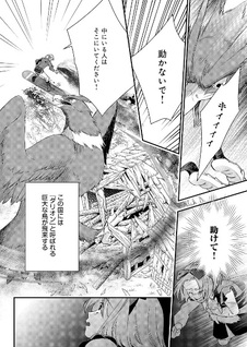 Ōkū Kishidan to Kyūkoku no Shōjo - Sora wo Tobu Shōjo Iris no Monogatari