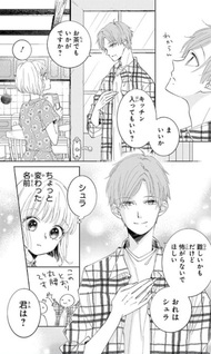 Pizzicato no Nemuru Mori