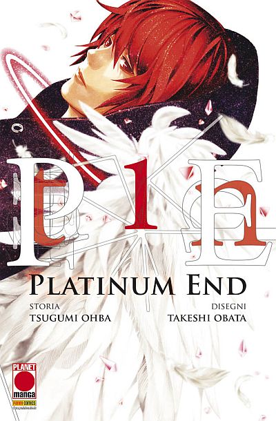 Platina_End-cover.jpg