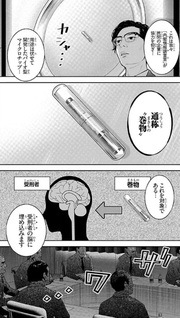 Project N