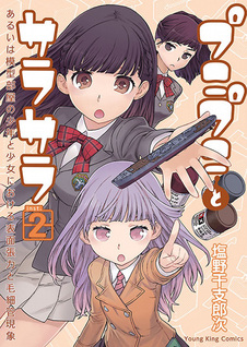 Punipuni to Sarasara: Arui wa Mokei Heya no Shounen to Shoujo ni okeru Hyoumen Chouryoku to Mousaikan Genshou