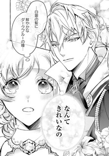 Reikoku Koutei wa Hitojichi Oujo wo Dekiai-chuu - Naze ka Nuigurumi ni natte Dakareteimasu