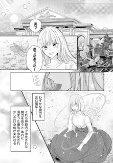 Rikon Totei no Keiyaku-kon nanoni, Reikoku Koushaku-sama ni Shuuchaku Sareteimasu