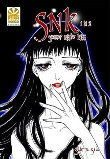 SNK - Summer Night Kiss