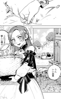 Seiin no Otome - Moto Yakugaku Kenkyuuin datta Koushaku Reijou wa Konyaku Jitai shite High Healer wo Mezashimasu -