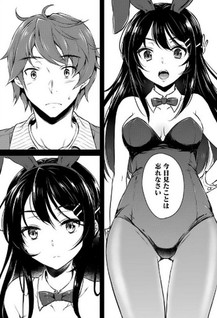 Bunny Girl Senpai