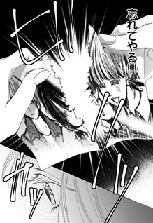 Seishun Shinderera