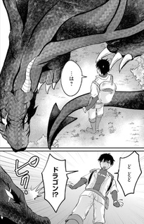 Sekai Saikyō no Debuff Ukeoinin - Nakama no Debuff wo Katagawari shite itara Itsunomanika Muteki no Nikutai ga Kansei shite imashita