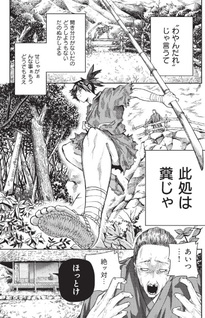 Sengoku Nehan