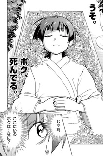 Sengoku ReBORN