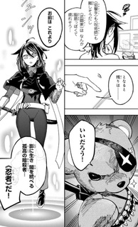 Shadow Assassins World ~Kage wa Usuikedo, Saikyō Ninja Yattemasu~