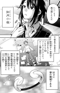 Shadow Assassins World ~Kage wa Usuikedo, Saikyō Ninja Yattemasu~