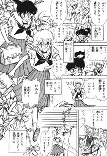 Shiawase Hanbunko