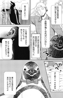 Shiikuin Oneesan ni Koishita Penguin