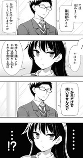Shinozaki Himeno no Koigokoro Q&A