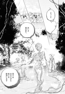 Shōjo Seikan Hyōryūki