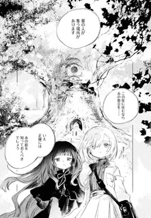Shōjo Seikan Hyōryūki