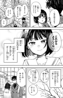 Shoushimin: Shunki Gentei Ichigo Tart Jiken