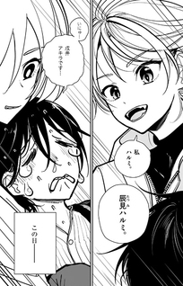 Sono Honoo no Na wa Seiheki