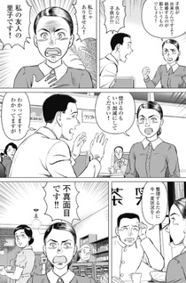 Sōyoku - Zero-sen to Hayabusa -