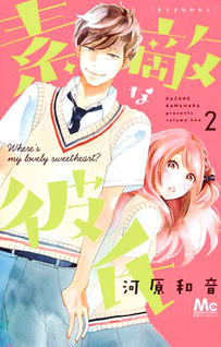 Suteki na Kareshi