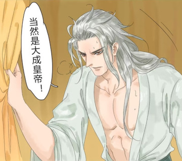 The Crown Prince Lost His Mind