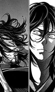 The Swordsman