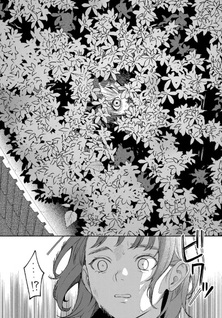 Tomodachi Zukuri