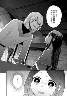 Tō no Igaku-roku - Akuma ni Tsukaeta Maid no Ki