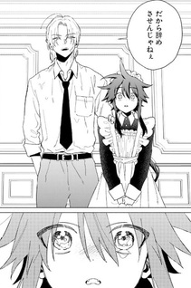 Tōdō-kun Chi no Maid Shota