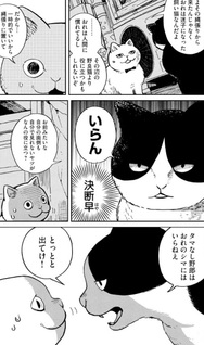Tsureneko: Maruru to Hachi