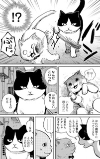 Tsureneko: Maruru to Hachi